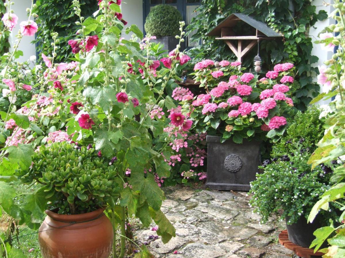 Les Glycines Bed & Breakfast Ury Dış mekan fotoğraf