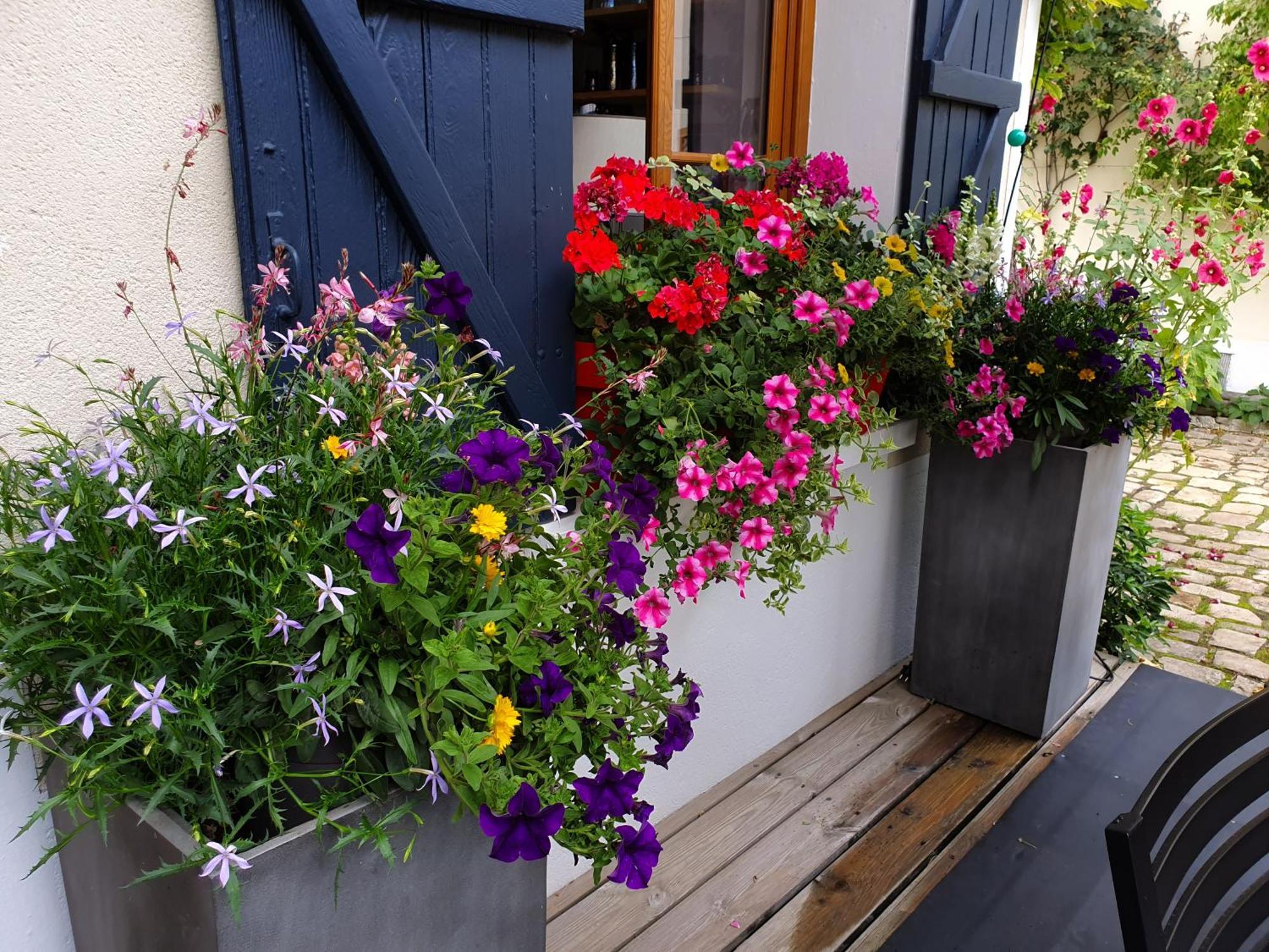 Les Glycines Bed & Breakfast Ury Dış mekan fotoğraf