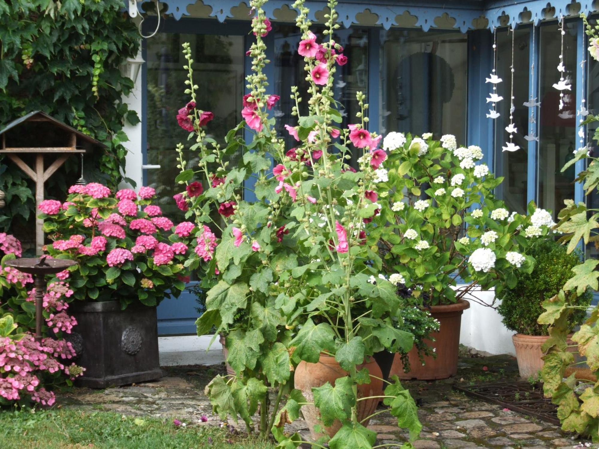 Les Glycines Bed & Breakfast Ury Dış mekan fotoğraf
